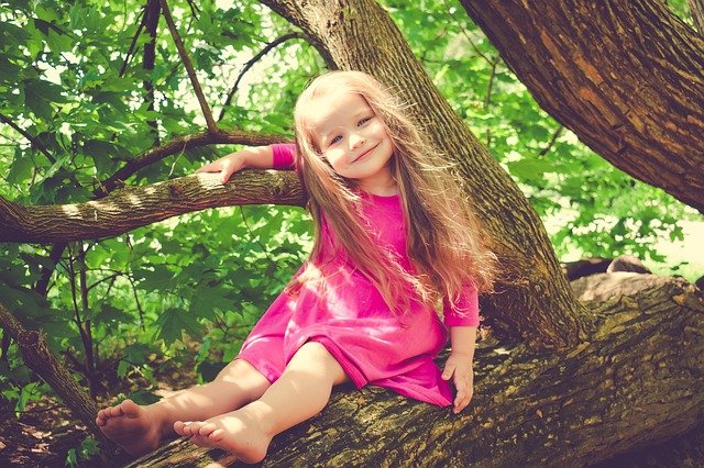 木に座るピンクの服を着た女の子